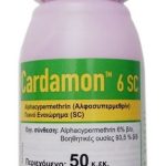 CARDAMON TOP 100ml