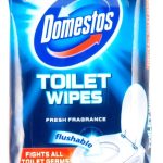 DOMESTOS WC ΑΝΤΙΒΑΚΤ/ΚΑ ΠΑΝΑΚΙΑ 40τεμ.