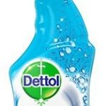 DETTOL ΣΠΡΕ'Ι' ΓΙΑ ΜΠΑΝΙΟ 750ml